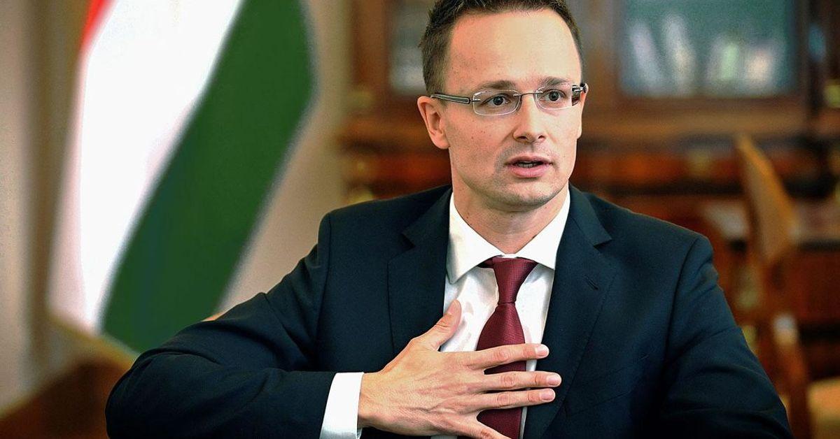 Угорщина назвала «божевільним» довгостроковий план НАТО підтримки У...