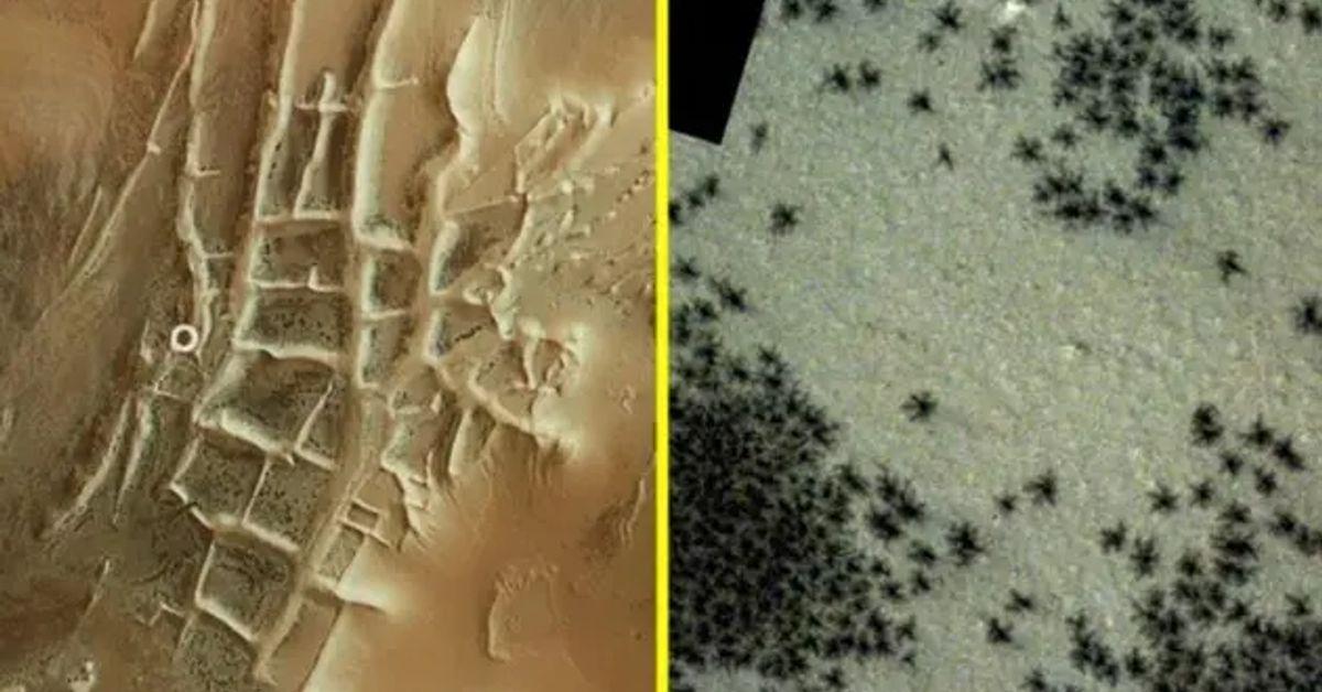Біля «Міста інків» на Марсі помітили сотні чорних «павуків».